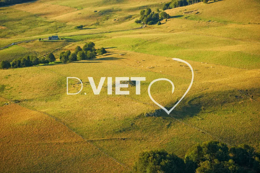 Photo TOULOUSE by VIET - VIET_005949