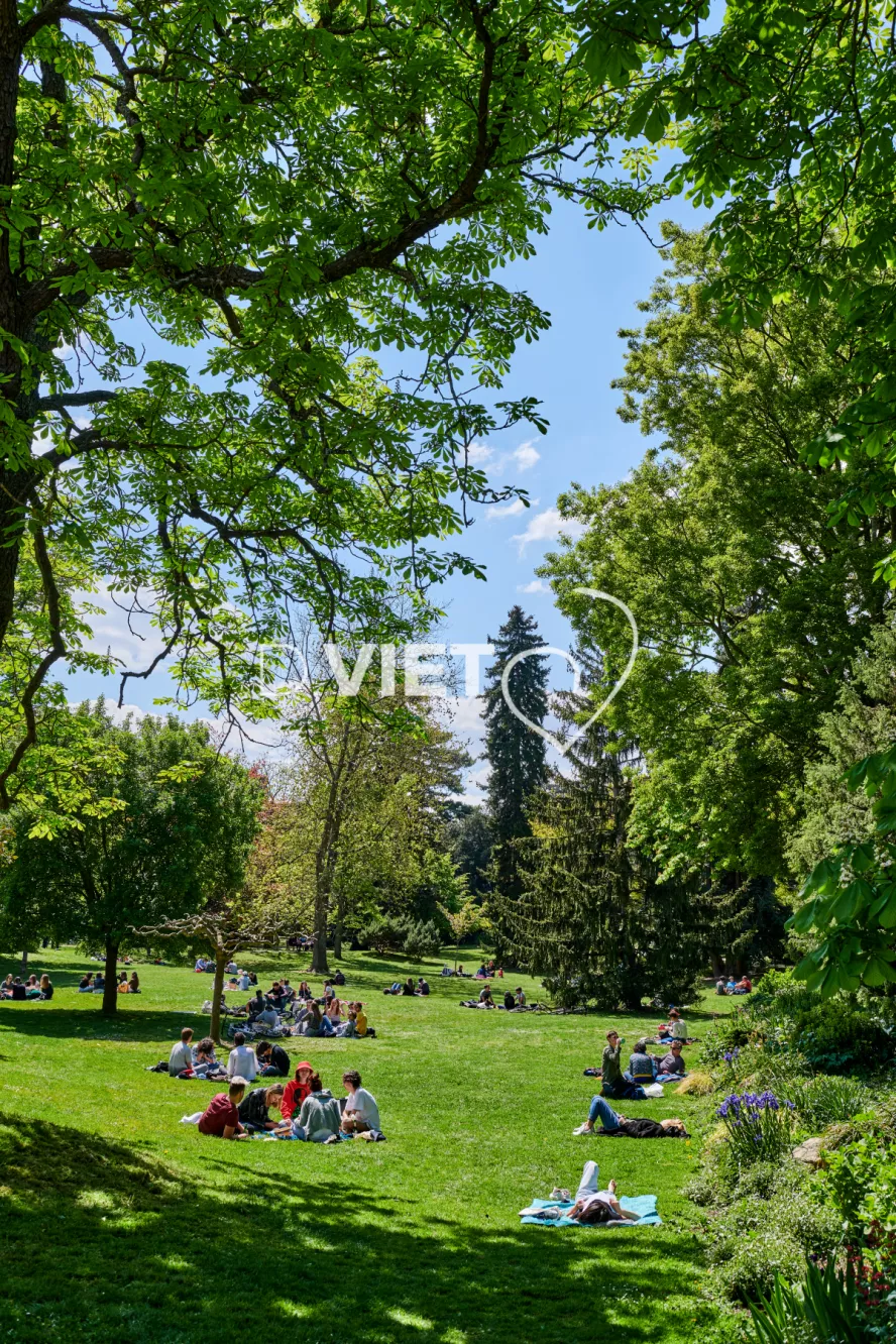 Photo TOULOUSE by VIET - Le Grand rond