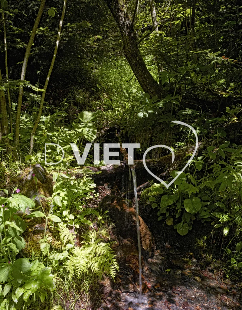 Photo TOULOUSE by VIET - chemin d'eau