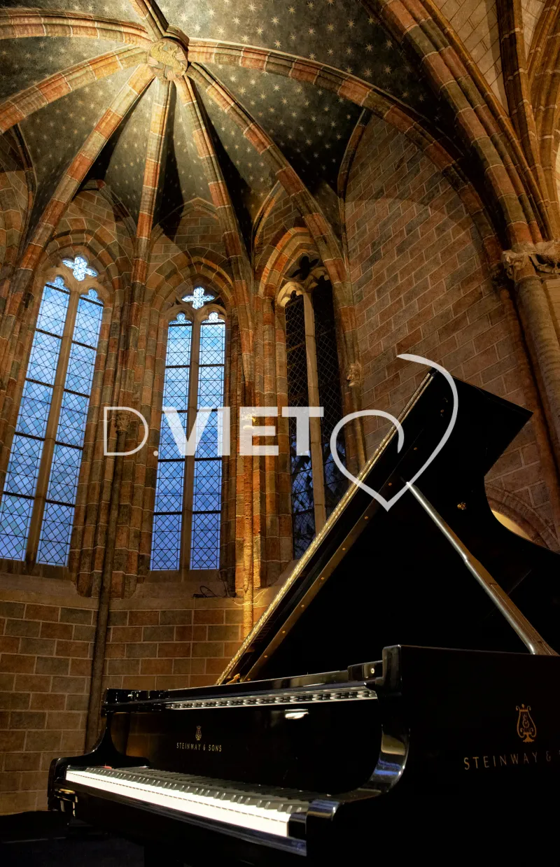 Photo TOULOUSE by VIET - Piano aux Jacobins