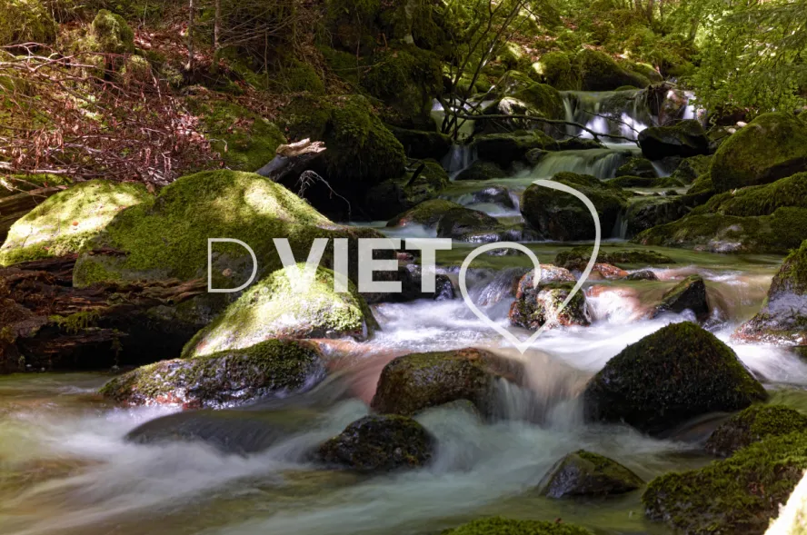 Photo TOULOUSE by VIET - cascade foret