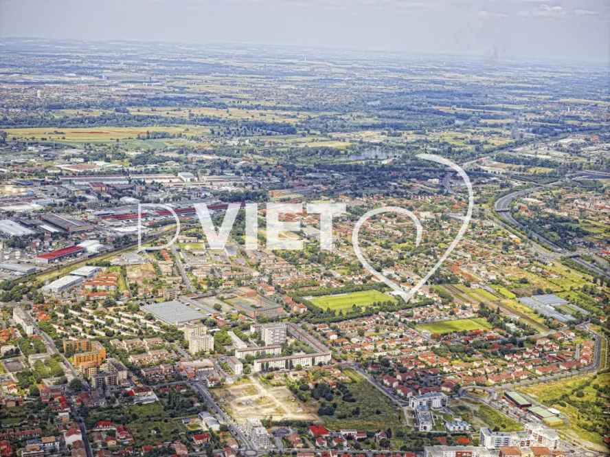 Photo TOULOUSE by VIET - La salade et la vache