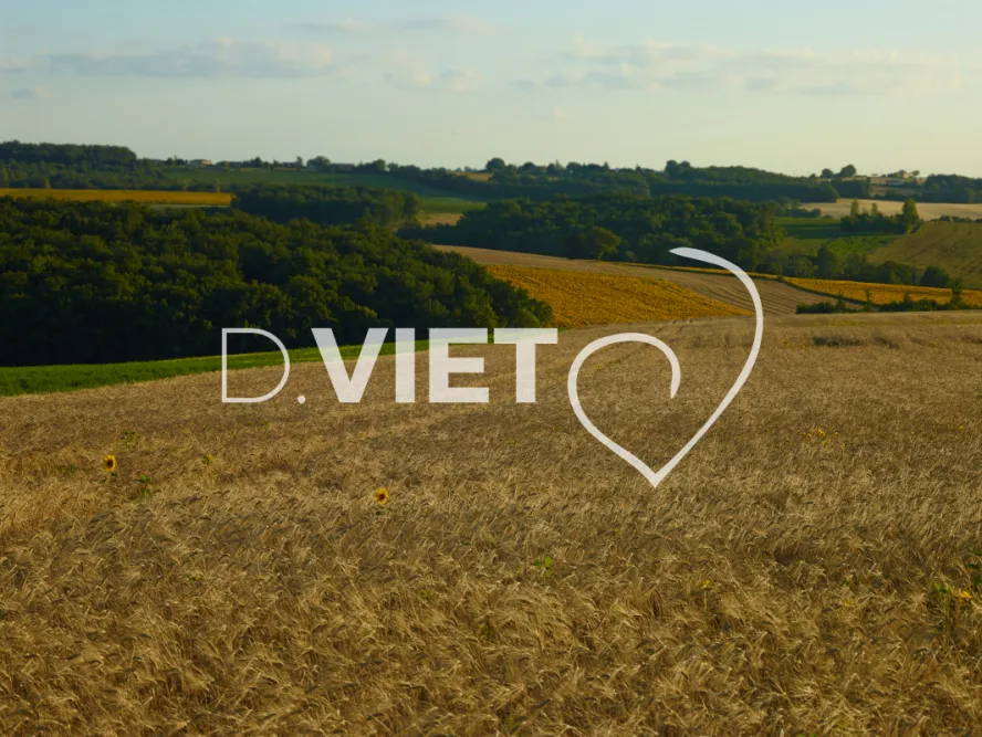 Photo TOULOUSE by VIET - VIET_007952