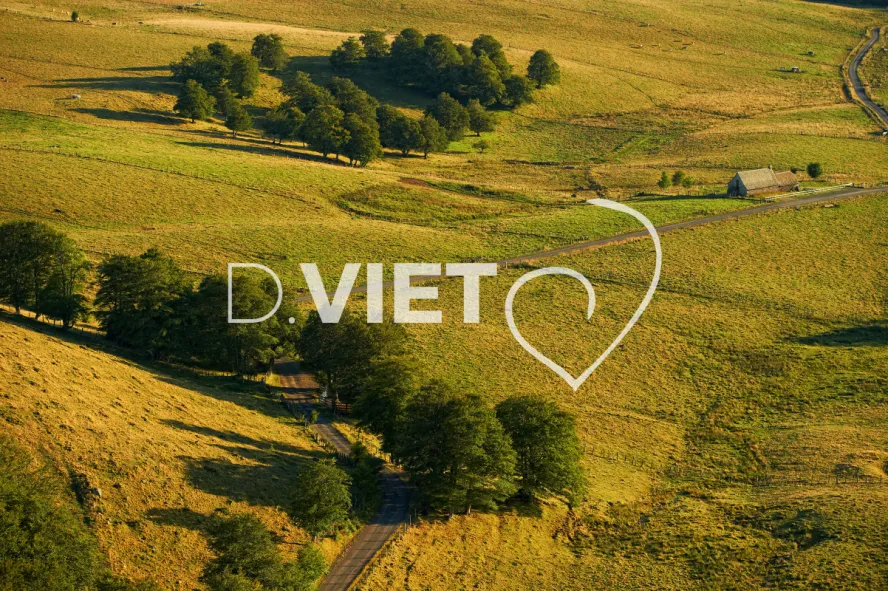 Photo TOULOUSE by VIET - VIET_005944