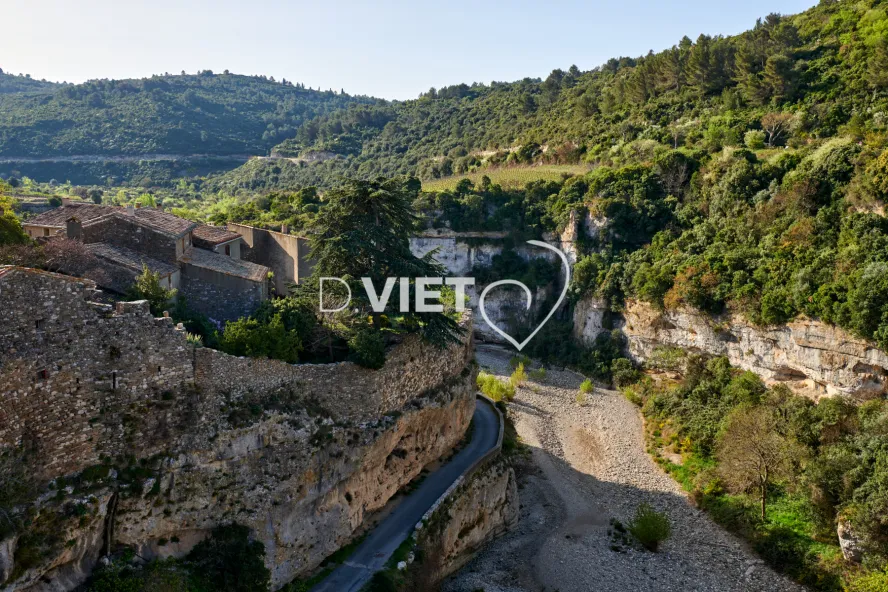 Photo TOULOUSE by VIET - MINERVE