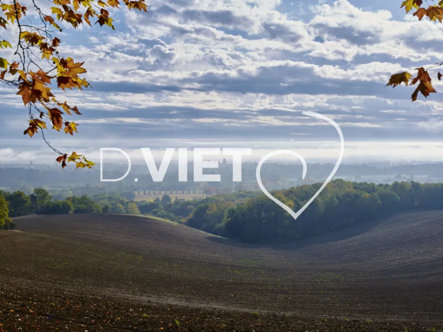 Photo TOULOUSE by VIET - BRUME