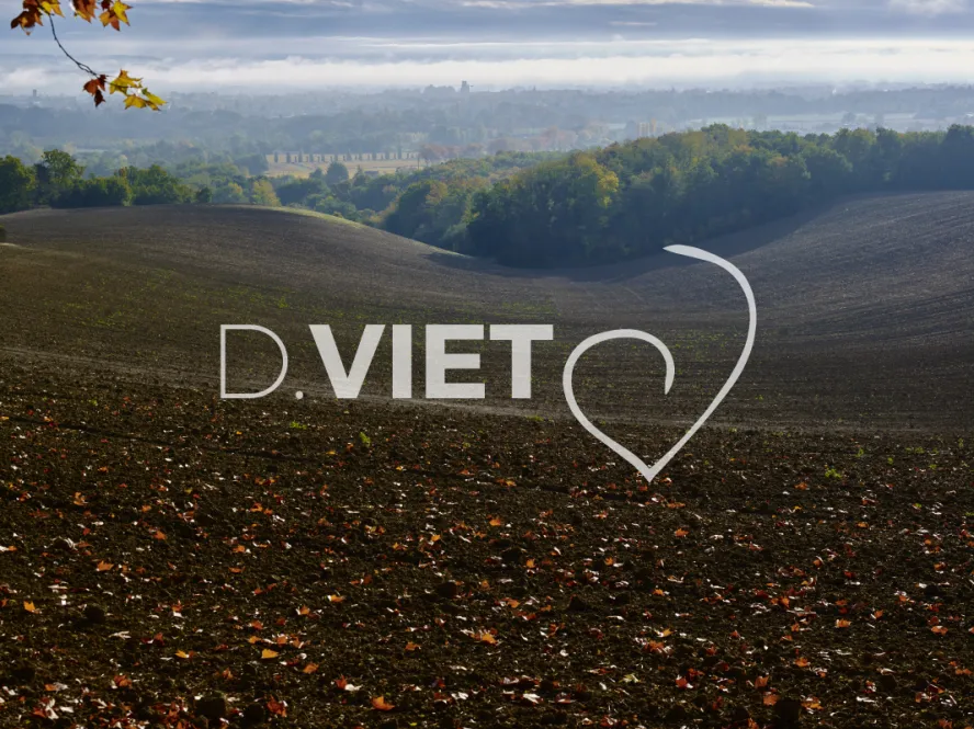 Photo TOULOUSE by VIET - BRUME