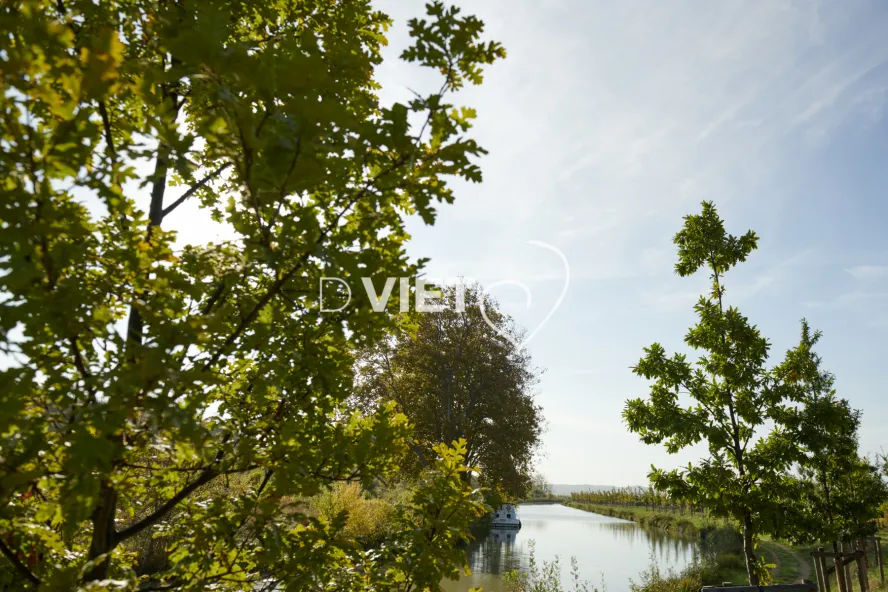 Photo TOULOUSE by VIET - REPRUDE