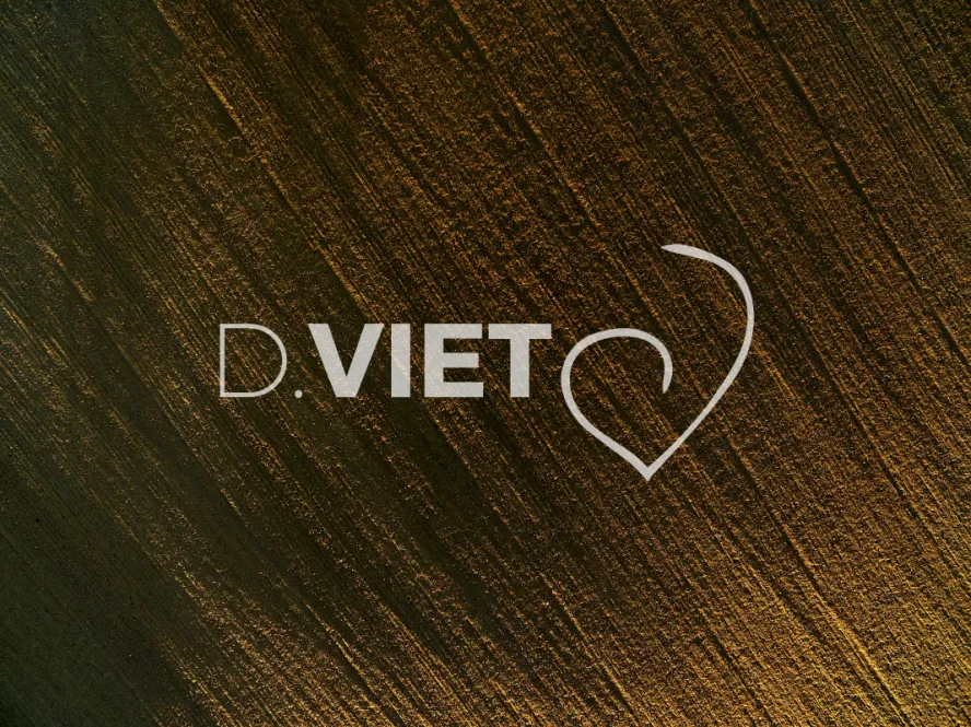 Photo TOULOUSE by VIET - TRACES