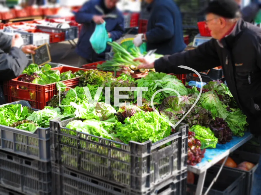 Photo TOULOUSE by VIET - Marché Saint Aubin