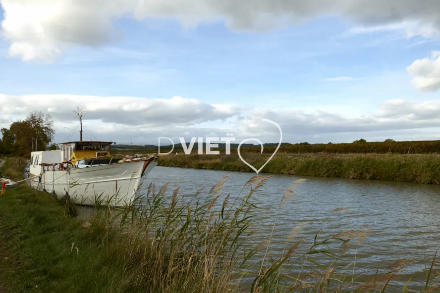 Photo TOULOUSE by VIET - D11