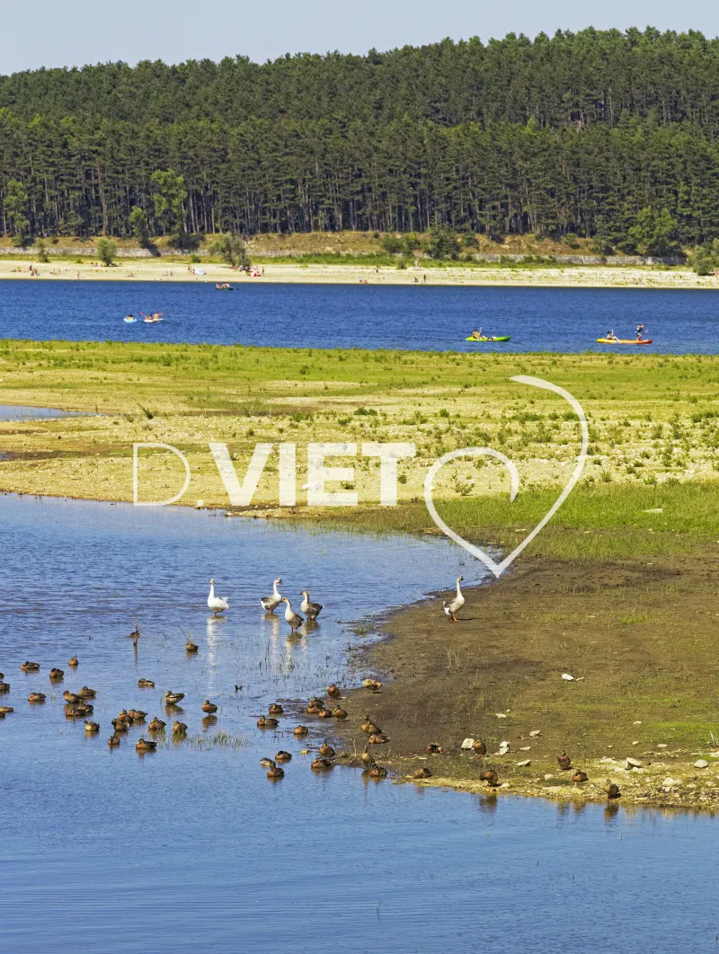 Photo TOULOUSE by VIET - Lac st Férreol