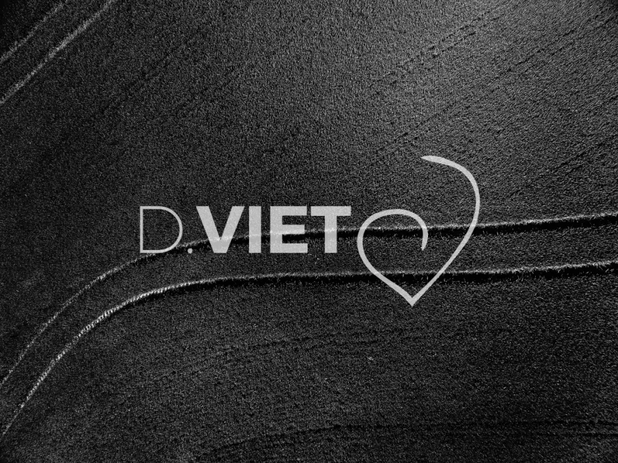 Photo TOULOUSE by VIET - COLZA LAURAGAIS