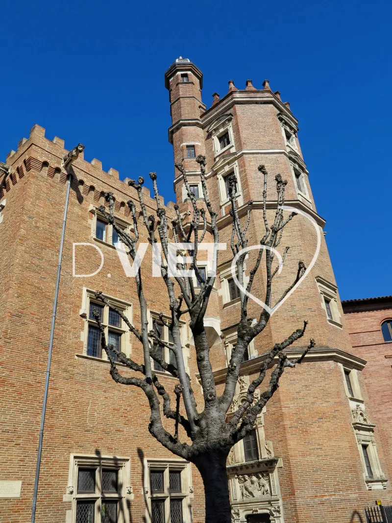 Photo TOULOUSE by VIET - Hhotel de Pierre Dahus