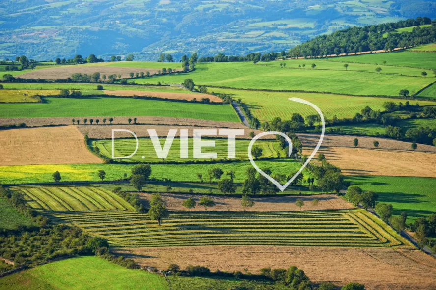 Photo TOULOUSE by VIET - VIET_006005