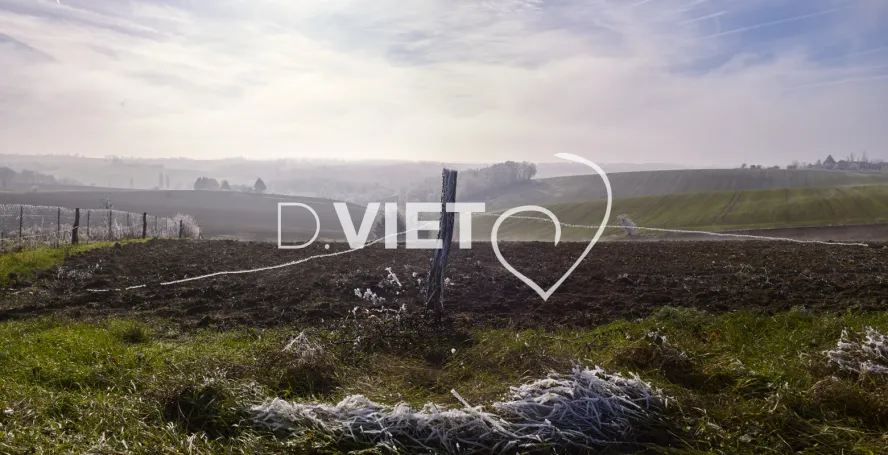 Photo TOULOUSE by VIET - VIET_008042