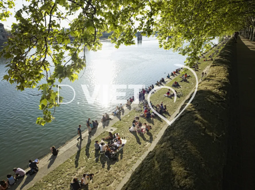 Photo TOULOUSE by VIET - Daurade