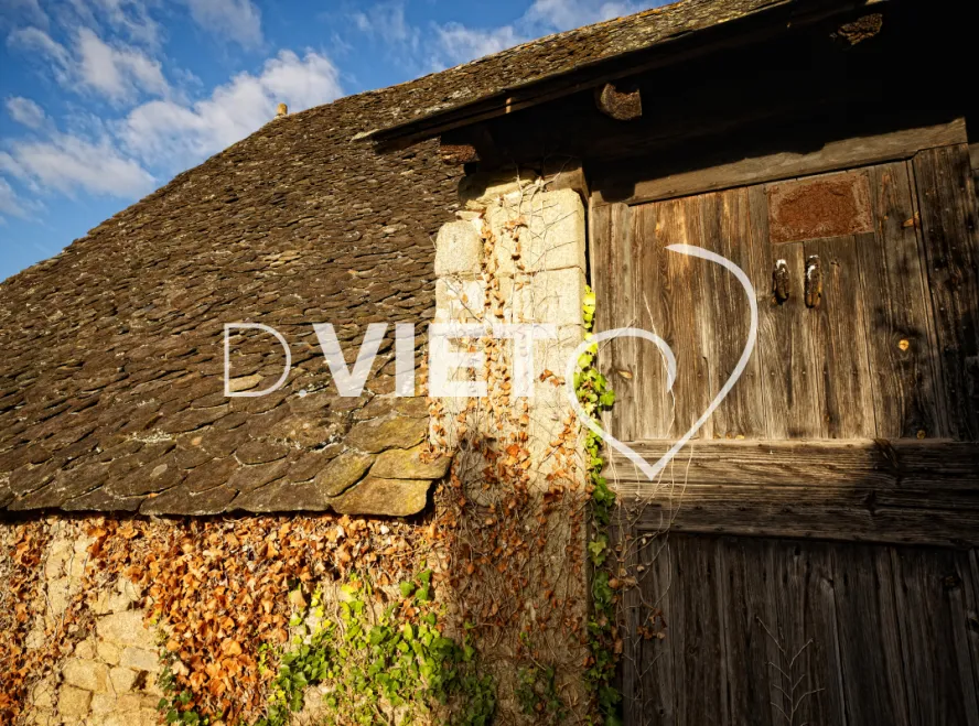 Photo TOULOUSE by VIET - Lamativie toits de loses