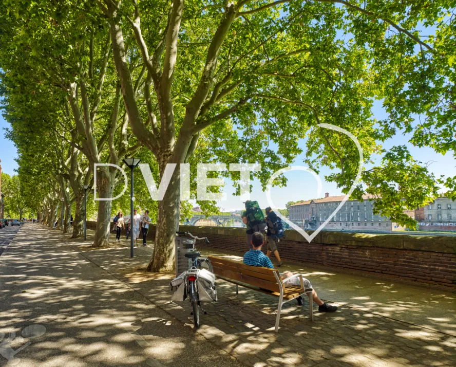 Photo TOULOUSE by VIET - Sur les quais