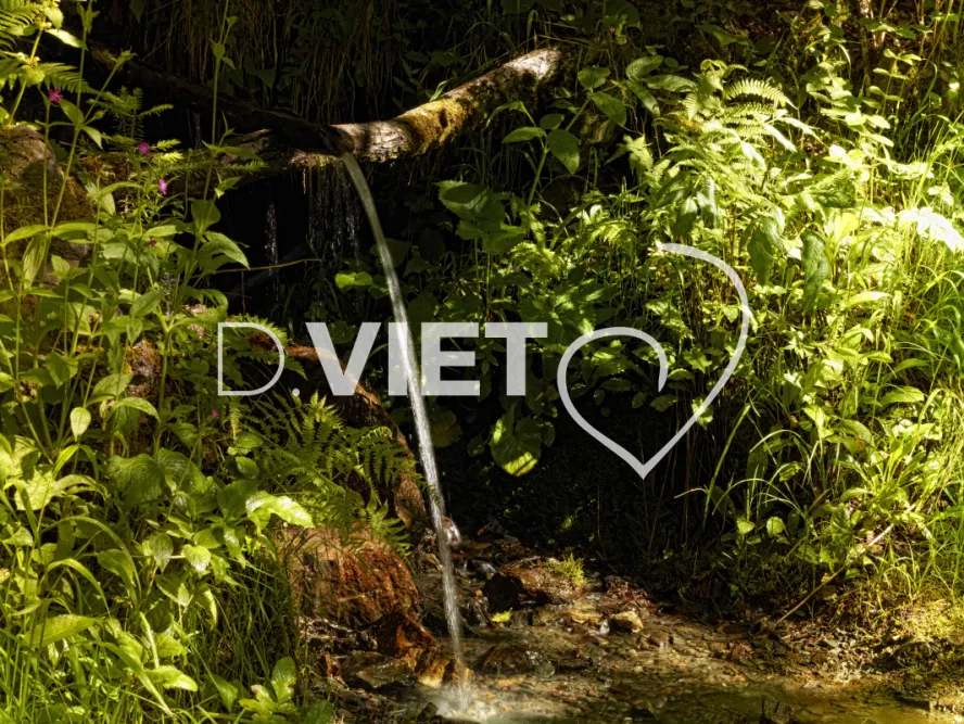 Photo TOULOUSE by VIET - cascade foret