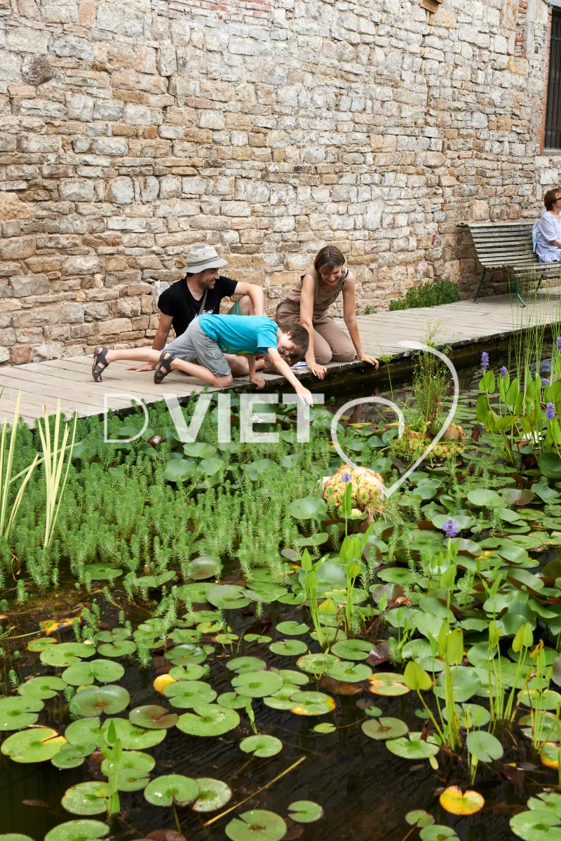 Photo TOULOUSE by VIET - les jardins du Paradis