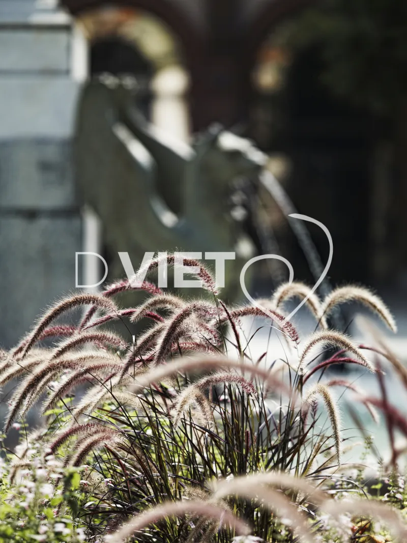 Photo TOULOUSE by VIET - La fontaine Dupuy