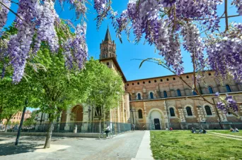 Photo TOULOUSE by VIET - Place de Saint-Sernin et ses glycines