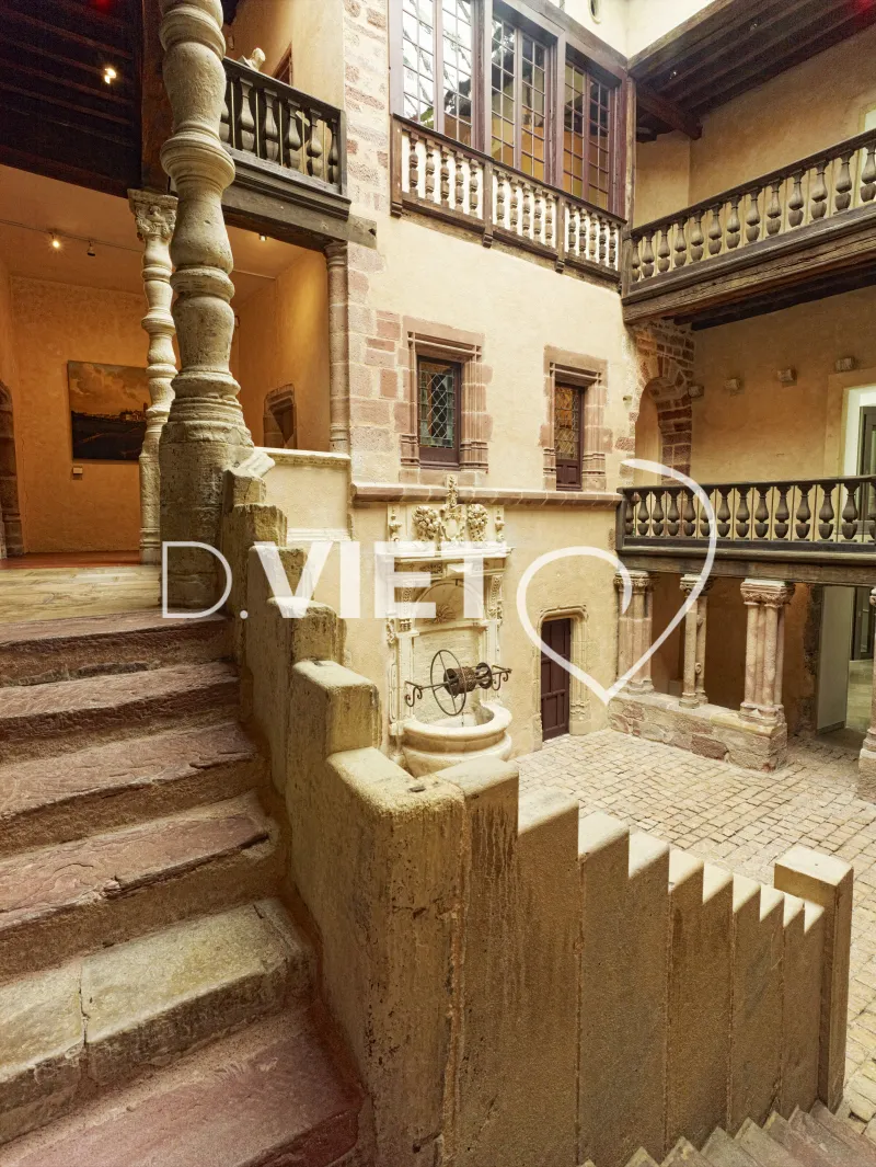 Photo TOULOUSE by VIET - Musee Fenaille