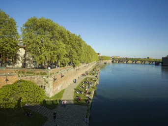 Photo TOULOUSE by VIET - Daurade