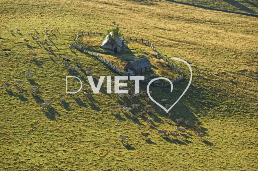 Photo TOULOUSE by VIET - Buron Aubrac