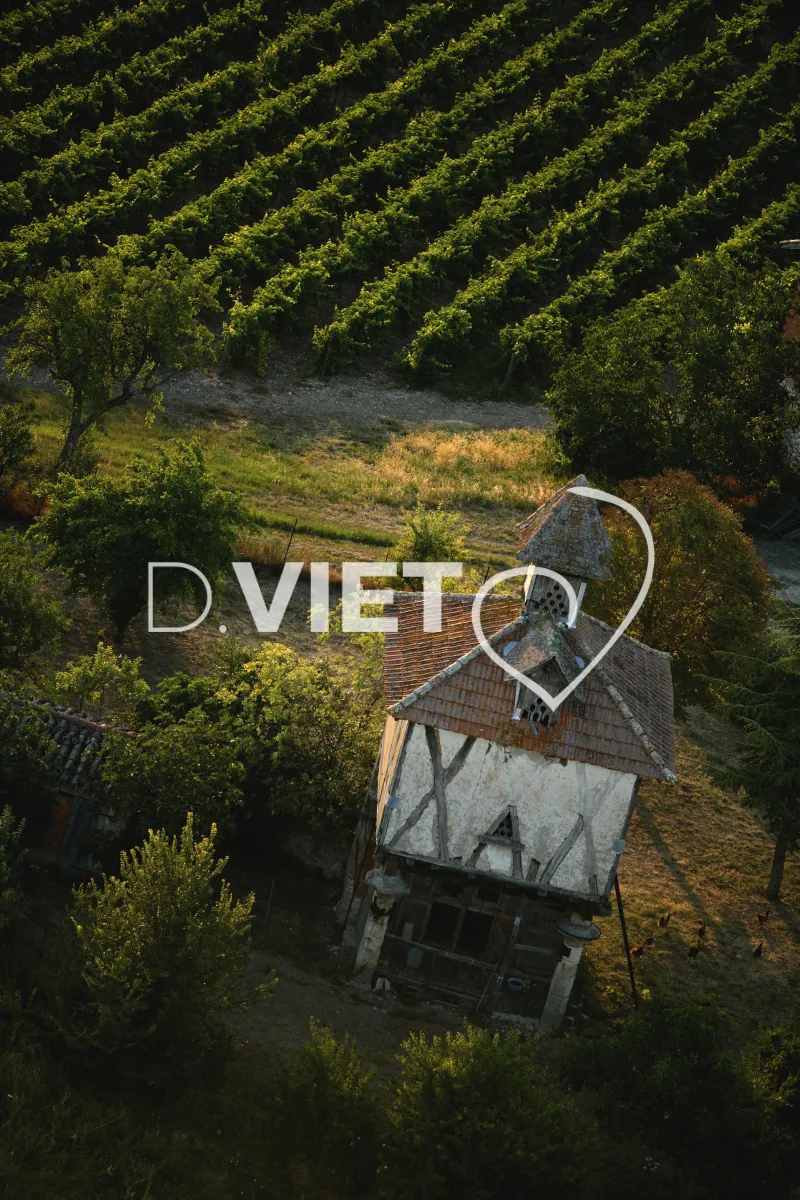 Photo TOULOUSE by VIET - 81ENTRE CORDES ET ALBI SARNIAC N44°005121 E001°58230 ©VIET 361.com