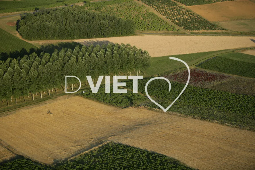 Photo TOULOUSE by VIET - VIET_007592