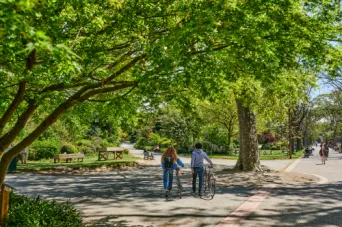 Photo TOULOUSE by VIET - Jardin des plantes