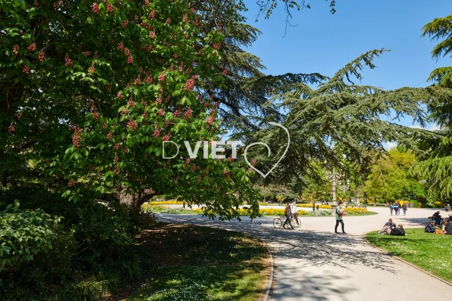 Photo TOULOUSE by VIET - Jardin du grand Rond