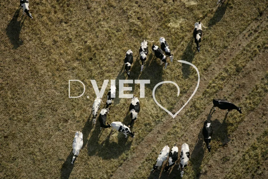 Photo TOULOUSE by VIET - 82 CHAPELLE N44°18054 E001°08208 , ©VIET 361.com