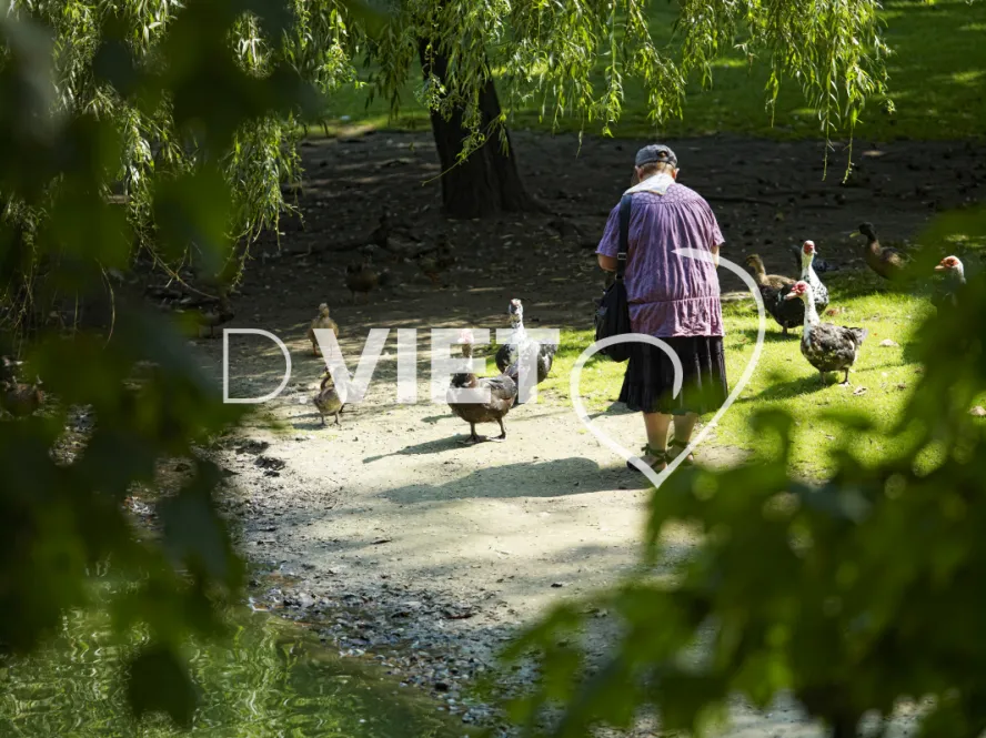 Photo TOULOUSE by VIET - Jardin des plantes