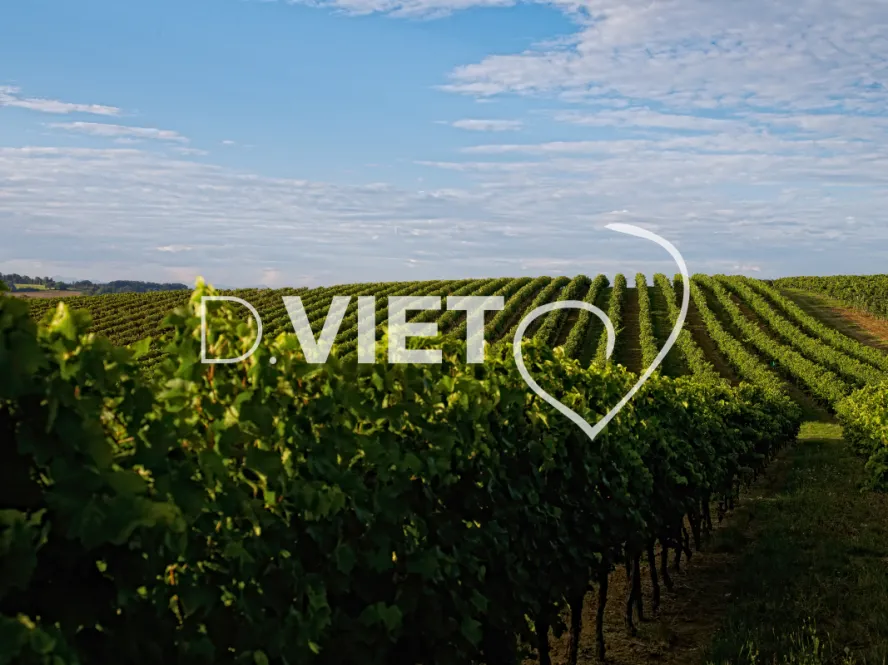 Photo TOULOUSE by VIET - Amrmagnac