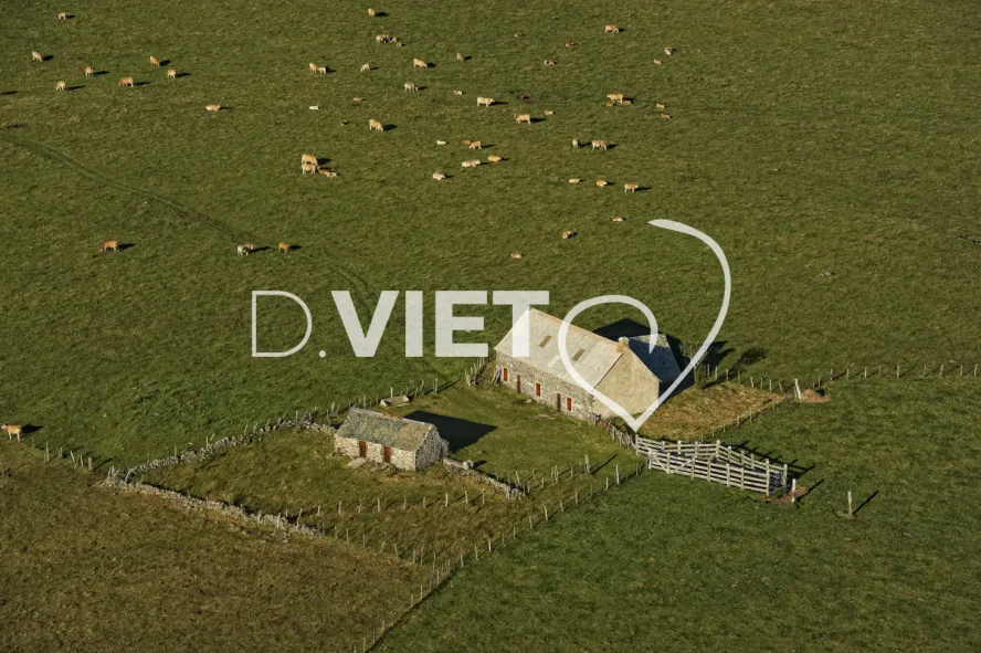 Photo TOULOUSE by VIET - Buron Aubrac