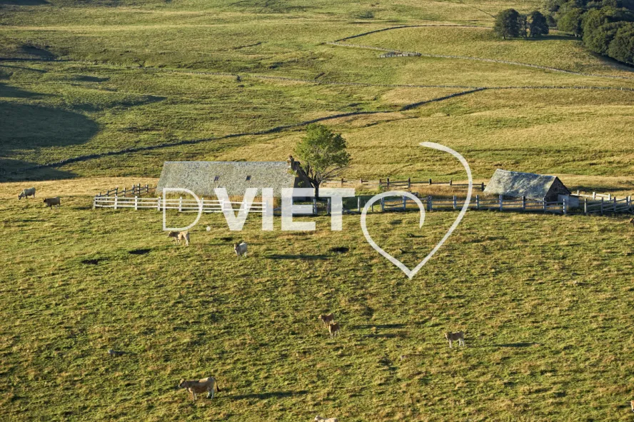 Photo TOULOUSE by VIET - Buron Aubrac