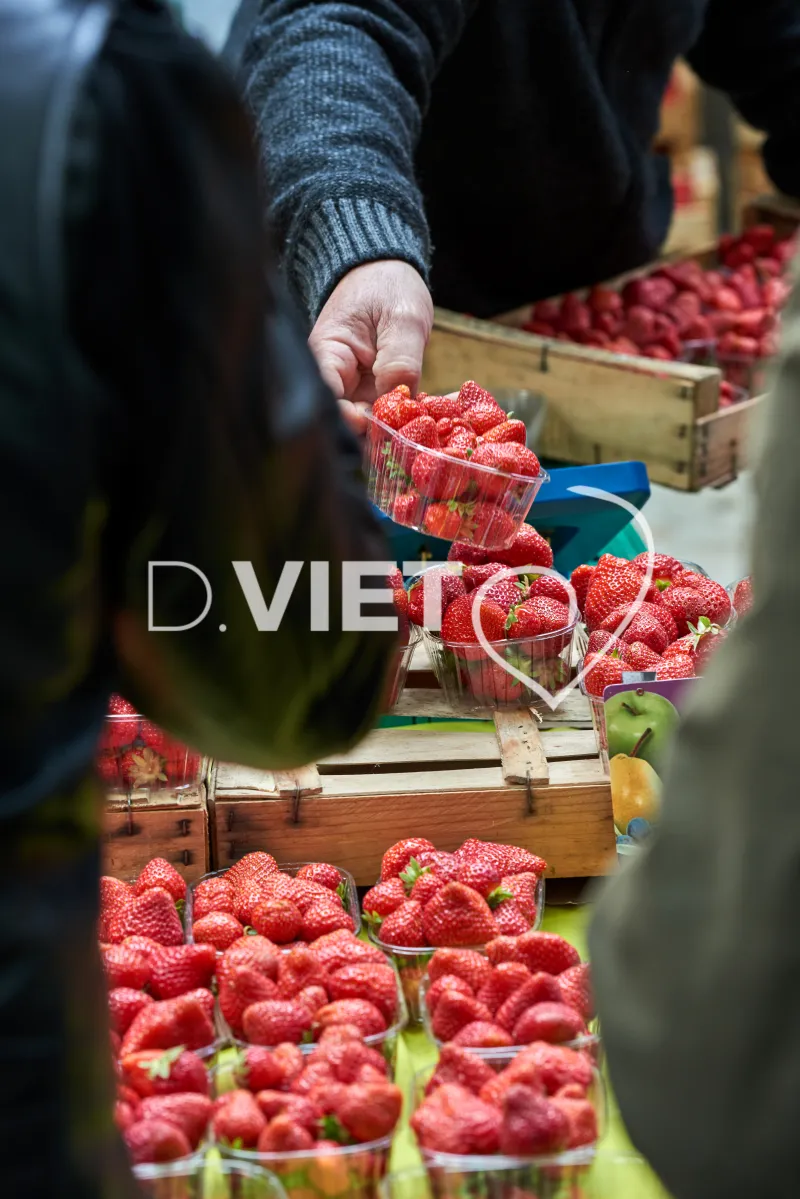 Photo TOULOUSE by VIET - VIET_008907