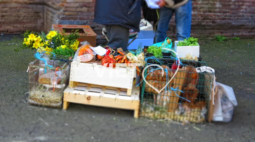 Photo TOULOUSE by VIET - Marche Saint aubin