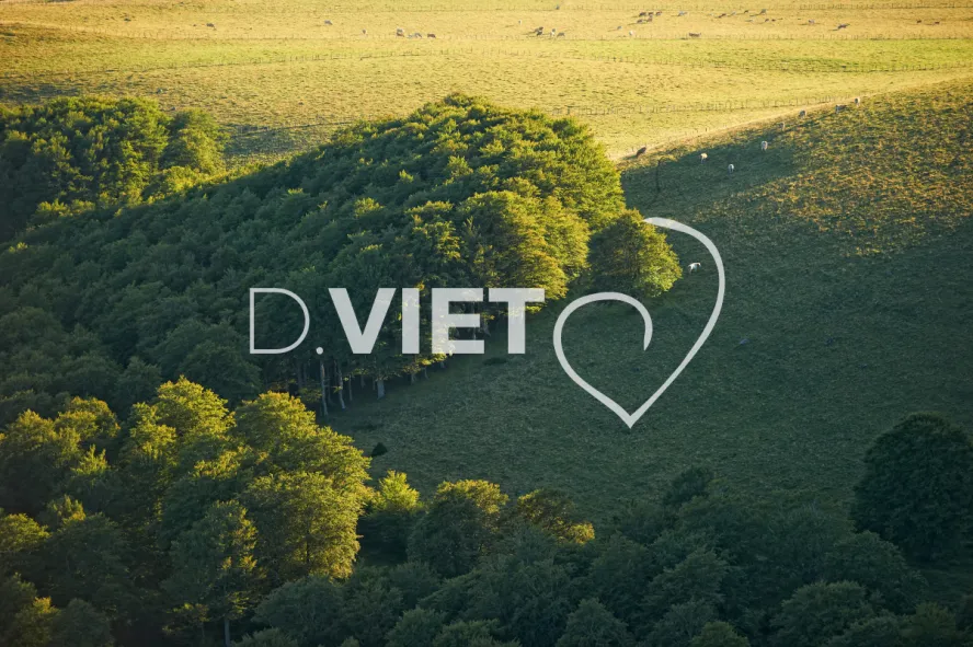 Photo TOULOUSE by VIET - VIET_005943