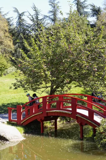 Photo TOULOUSE by VIET - Compans Caffarelli le pont rouge du jardin Japonais