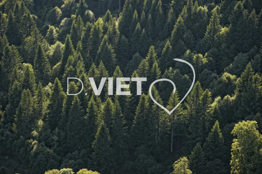 Photo TOULOUSE by VIET - Buron Aubrac