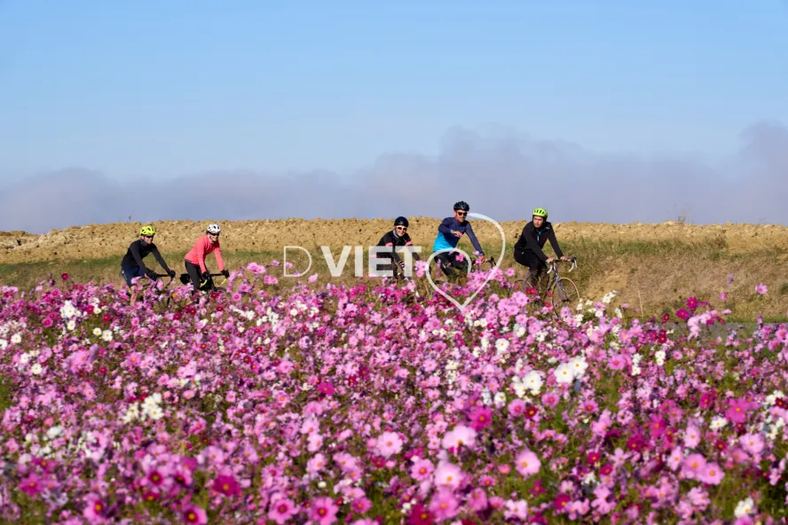 Photo TOULOUSE by VIET - Les contreforts