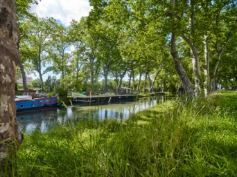 Photo TOULOUSE by VIET - Canal du midi