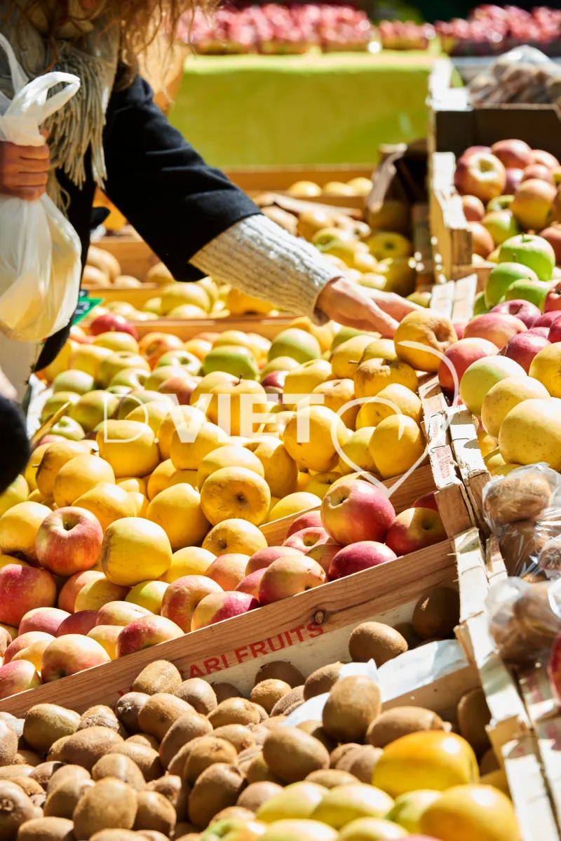 Photo TOULOUSE by VIET - VIET_008910