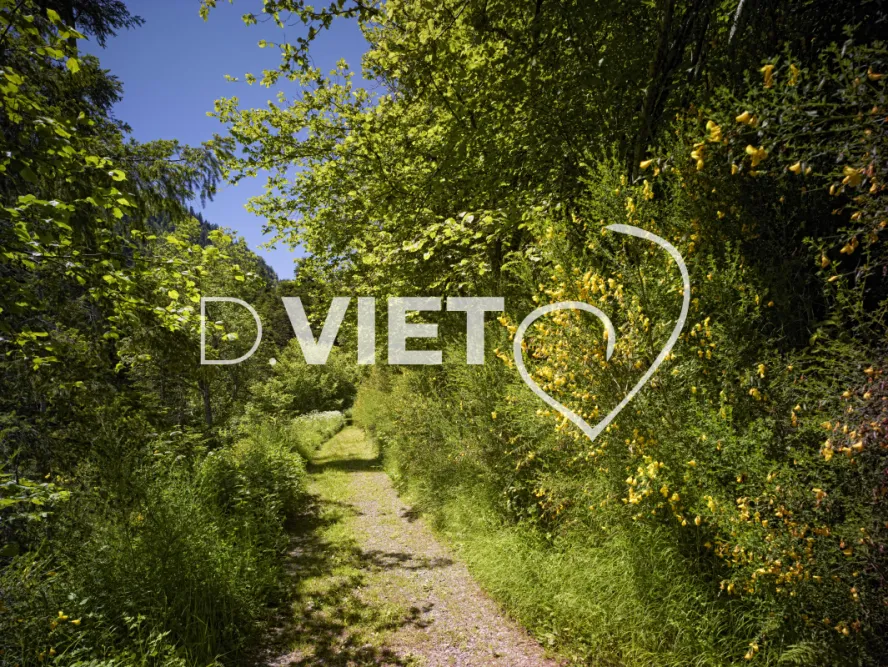 Photo TOULOUSE by VIET - chemin