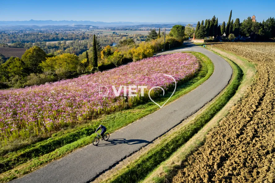 Photo TOULOUSE by VIET - Les contreforts