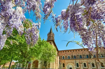 Photo TOULOUSE by VIET - Place de Saint-Sernin et ses glycines
